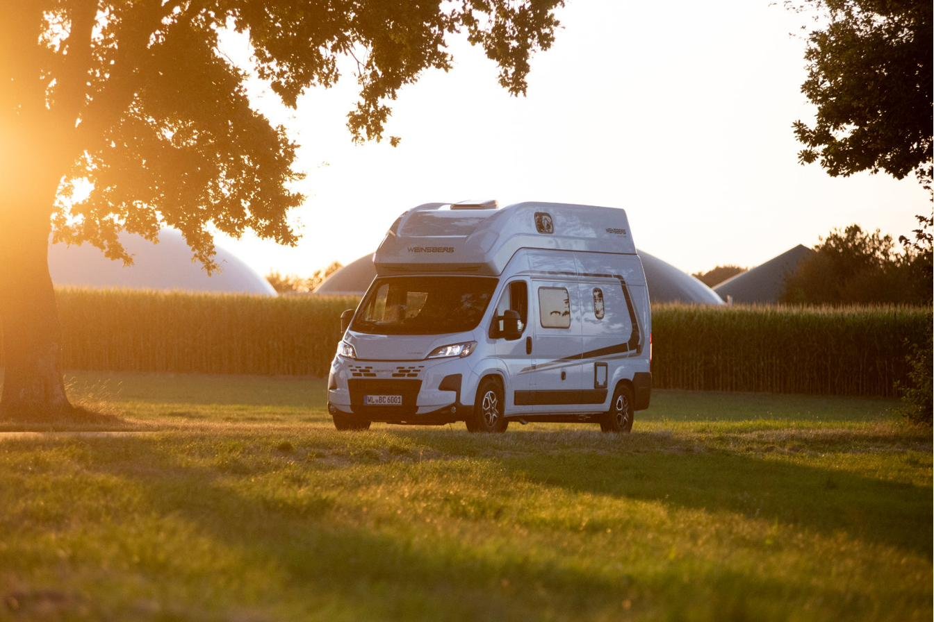 Camper mieten Nordheide – CaraBus fahrend im Gegenlicht durch Baumallee